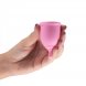 Foto 3: COPOS MENSTRUAIS MINERVA S + L COM BOLSA E LIMPADOR DE BRINQUEDOS 150 ML CRUSHIOUS
