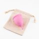 Foto 4: COPOS MENSTRUAIS MINERVA S + L COM BOLSA E LIMPADOR DE BRINQUEDOS 150 ML CRUSHIOUS