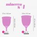Foto 7: COPOS MENSTRUAIS MINERVA S + L COM BOLSA E LIMPADOR DE BRINQUEDOS 150 ML CRUSHIOUS
