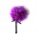Foto 0: PLUMA ROXA SECRET PLAY