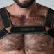 Foto 1: ARN�S CORPORAL LOOK AT LOCKER GEAR VERDE 36 S
