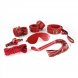 Foto 0: KIT BDSM DUNGEONS & MAIDENS VERMELHO CRUSHIOUS