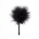 Foto 0: ESPANADOR DE PLUMAS PRETO SECRET PLAY