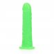 Foto 2: DILDO SLIM REALISTIC DILDO GLOW IN THE DARK 6'' / 15,5 CM REALROCK