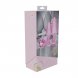 Foto 3: PARIS COLLECTION - METAL ANAL PLUG SET - PINK