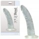 Foto 0: DILDO REAL RAPTURE EARTH FLAVOUR 7'' TRANSPARENTE
