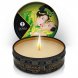 Foto 0: VELA DE MASSAGEM AFRODIS�ACA SHUNGA CH� VERDE 30ML