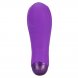 Foto 1: VIBRADOR RECARREG�VEL ETERNAL ROXO